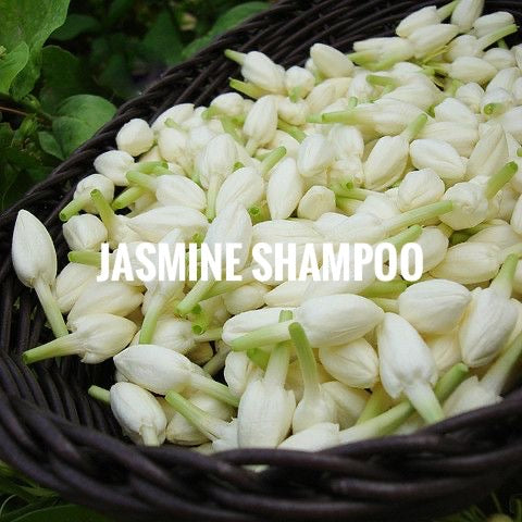 Jasmine Shampoo