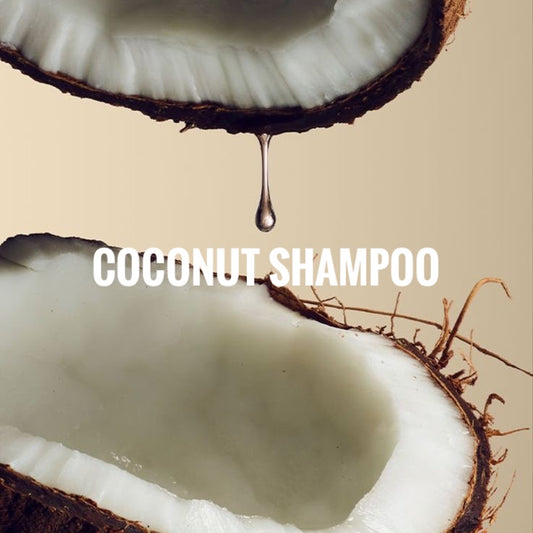 Coconut Shampoo